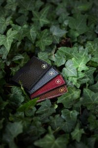 Spring Garden - Image 7