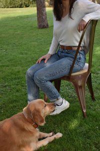 Contact leash (Copie) - Image 2