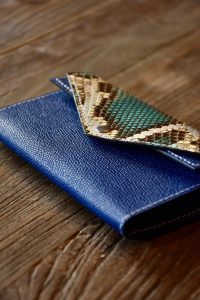 Derby Python - Image 2